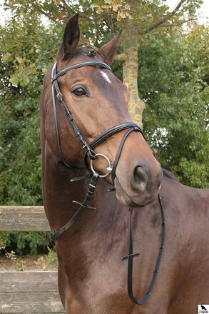 Bridle Bronze, černá polstrovaná uzda